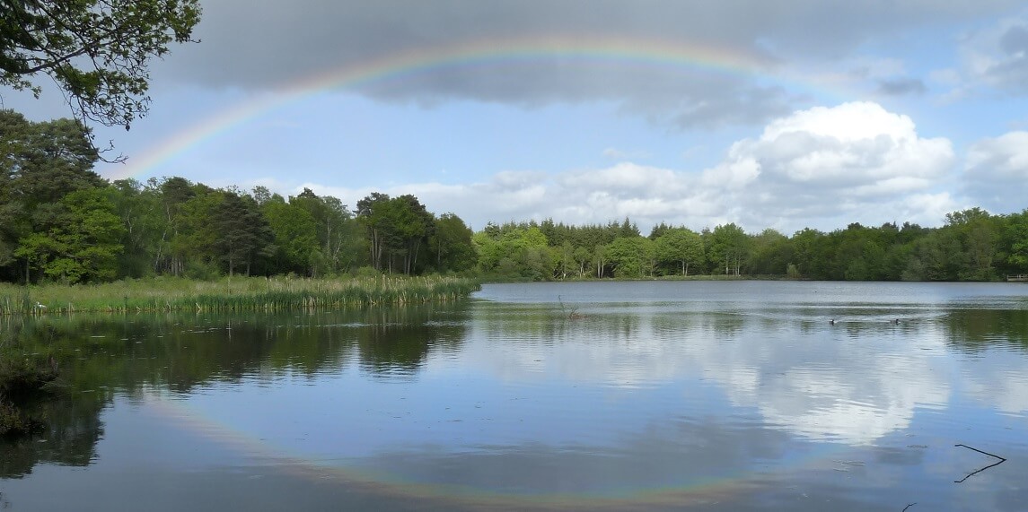 View over lake with rainbow in background