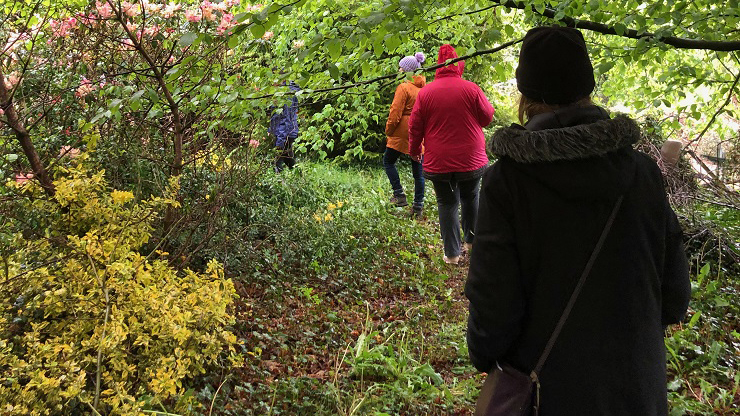 People walking through a forest, photo taken from behind