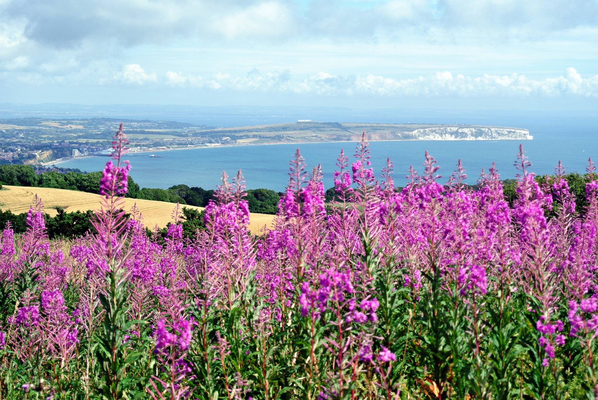 Luccombe Down, Isle of Wight