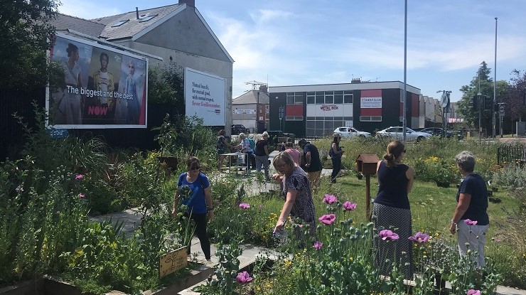 An urban garden in Newport