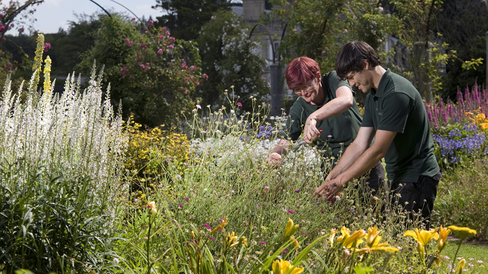 Two gardners at work, surrounded by plants and flowers