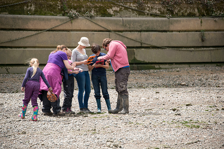 Adults and children recording archaeology information on tablets on the beach. Thames Discovery Programme