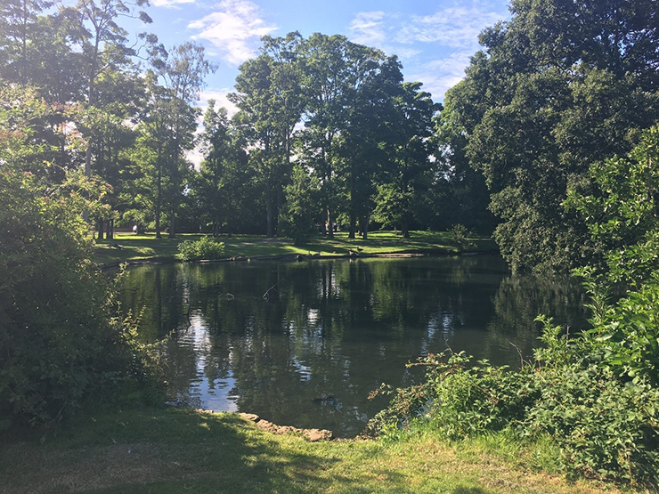 Lake at Boultham Park