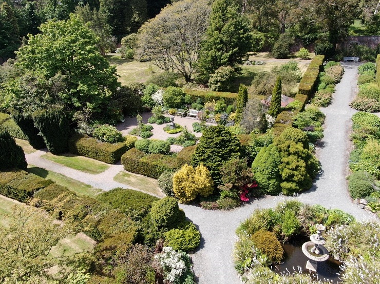 Trees and shrubs in the walled garden at Castlewellan Forest park