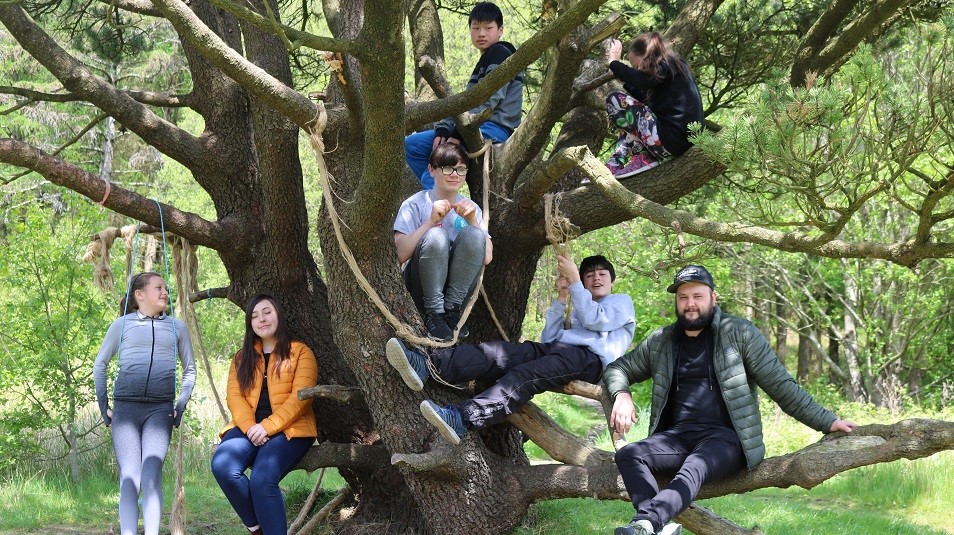 Children sitting in a tree