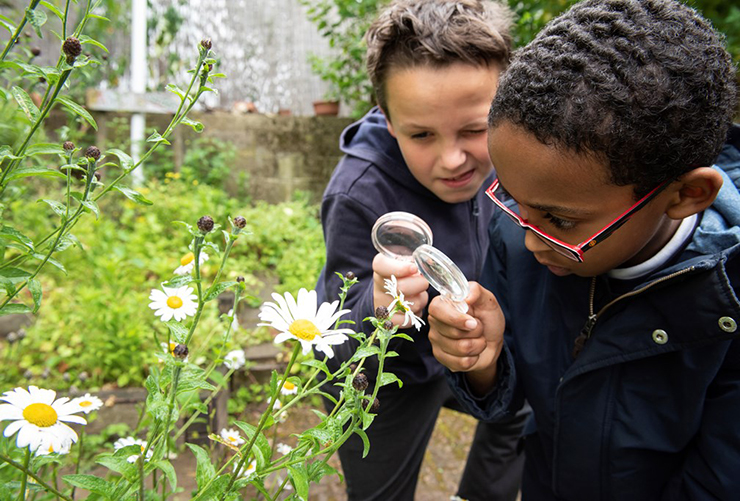 Children looking at plants through a magnifying glass