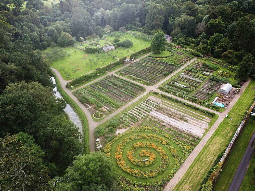 Birds eye view of a garden