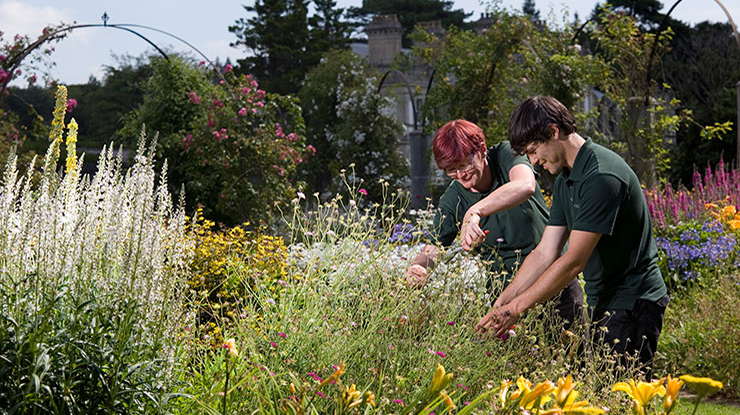 Two people tending a garden