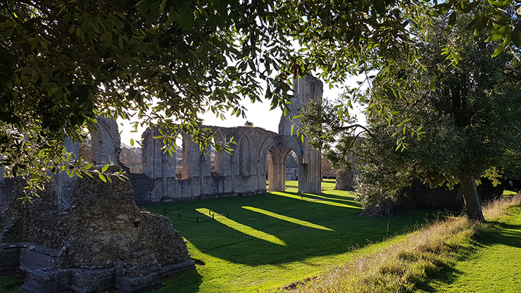 Glastonbury Abbey seen through trees