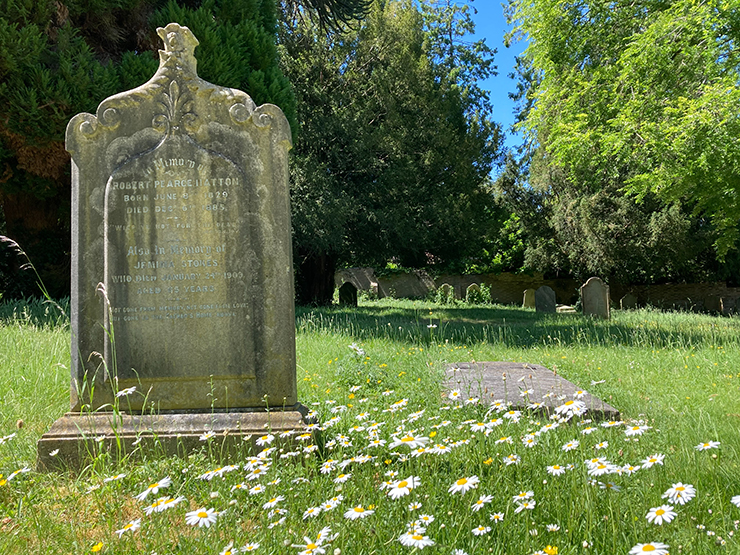 Grave surrounded by daisies at Rectory Lane Cemetery