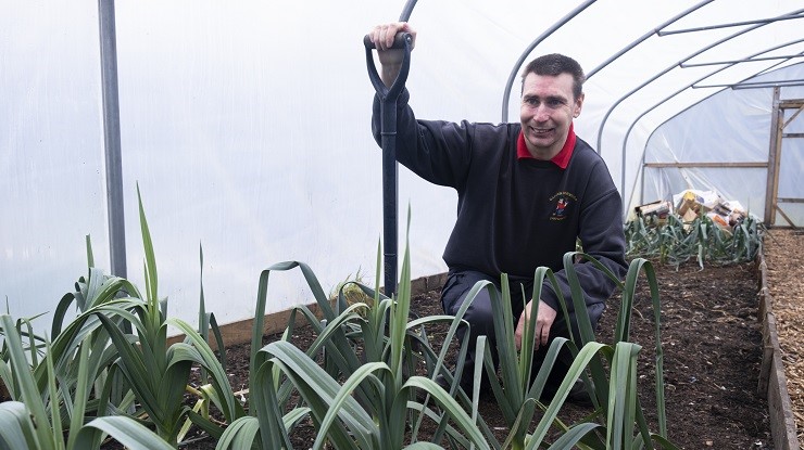Growing leeks in the polytunnel