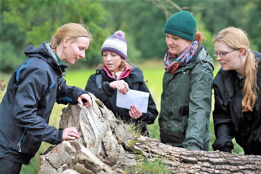 Student conservation volunteers - University of Cumbria