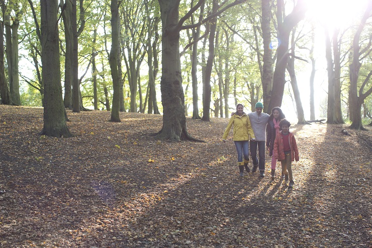 People walking in forest