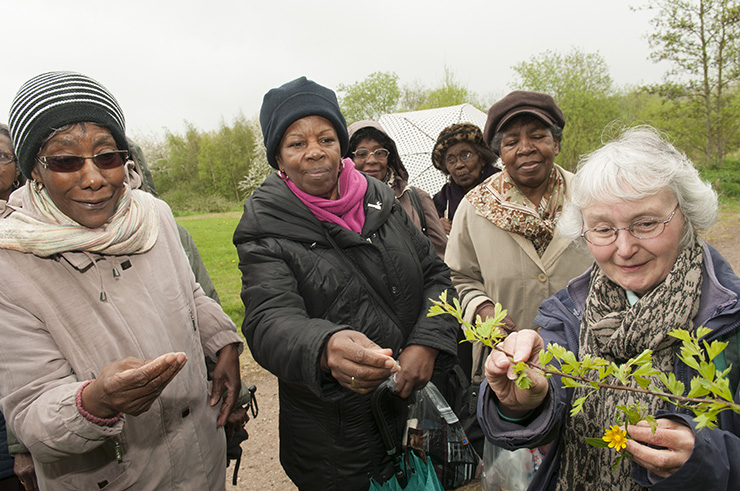 People at the Harvesting our Heritage project talking about plants