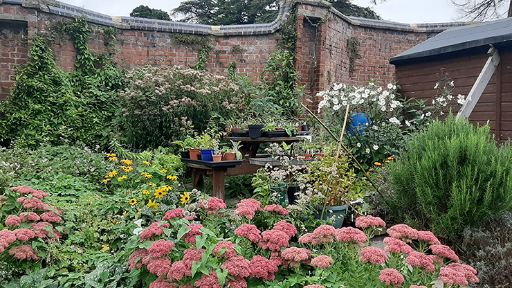 A garden with red-brick wall, shrubs and flowers