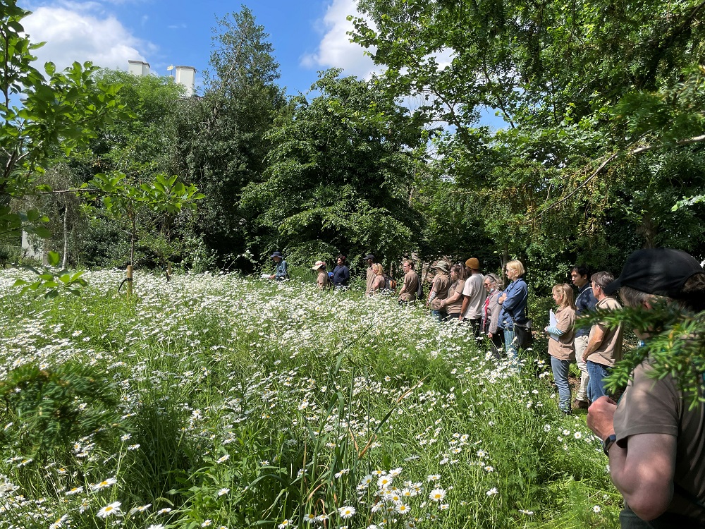 People interacting with nature