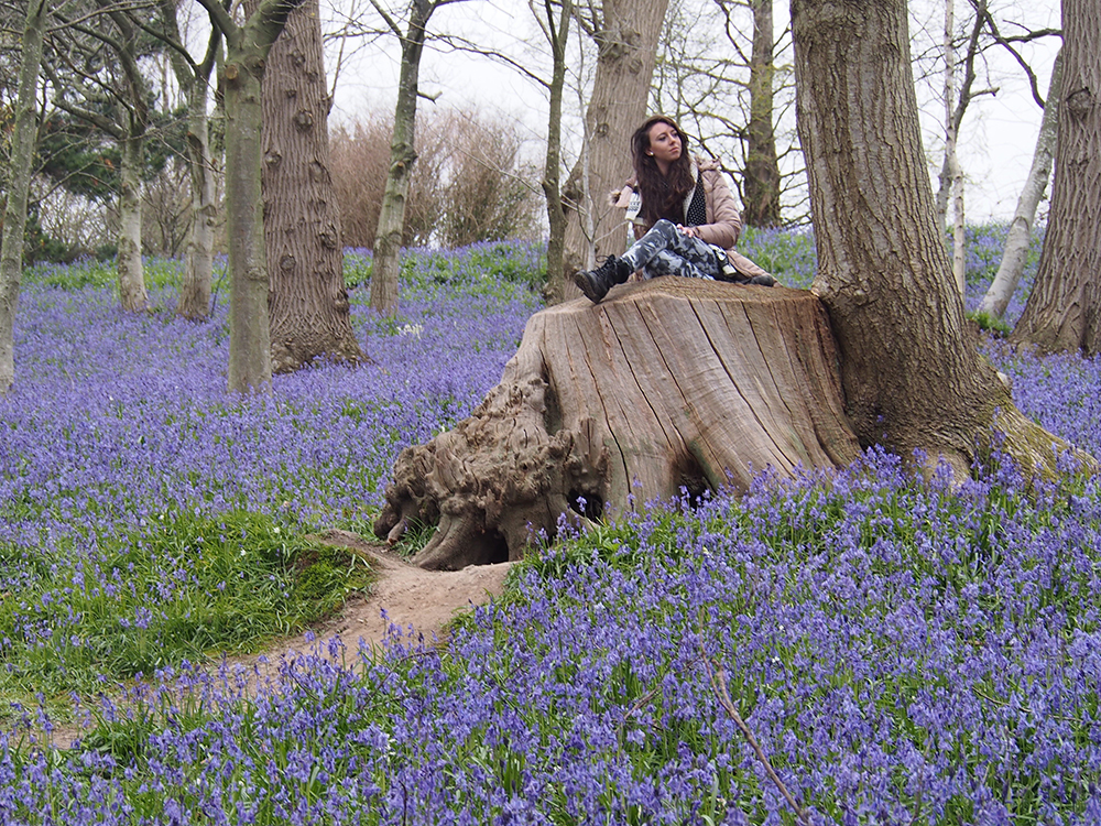 Lizzie Guntrip – natural history writer and consultant