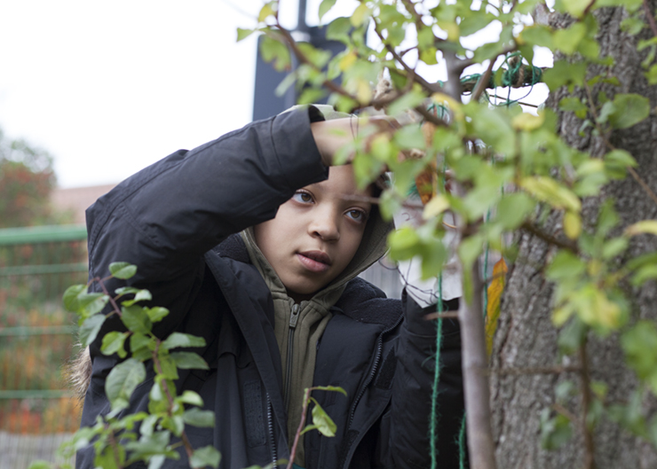 A young boy attaching a label to a tree