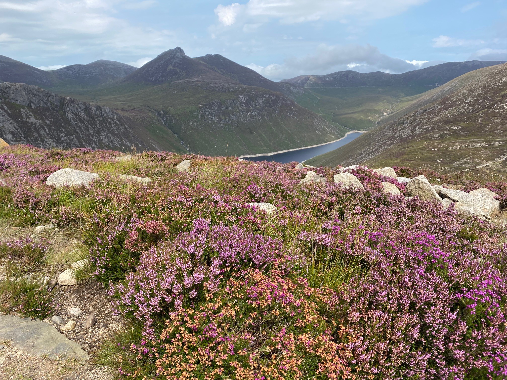 Mourne Mountains, County Down, Northern Ireland