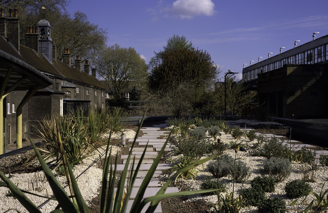 A roof ontop of the museum's new build, containing grass, plants, gravel and concrete paving