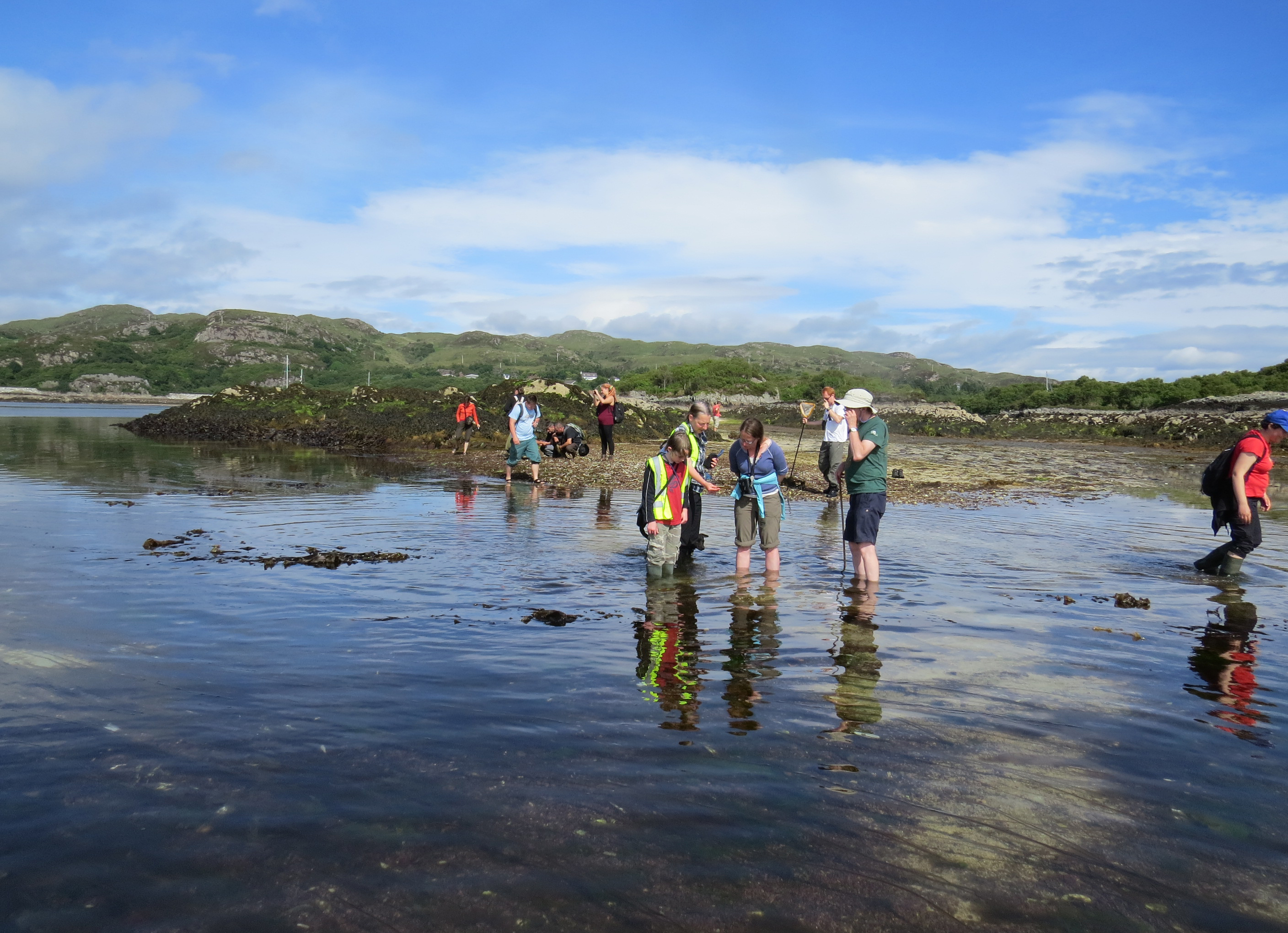 People standing in shallow water