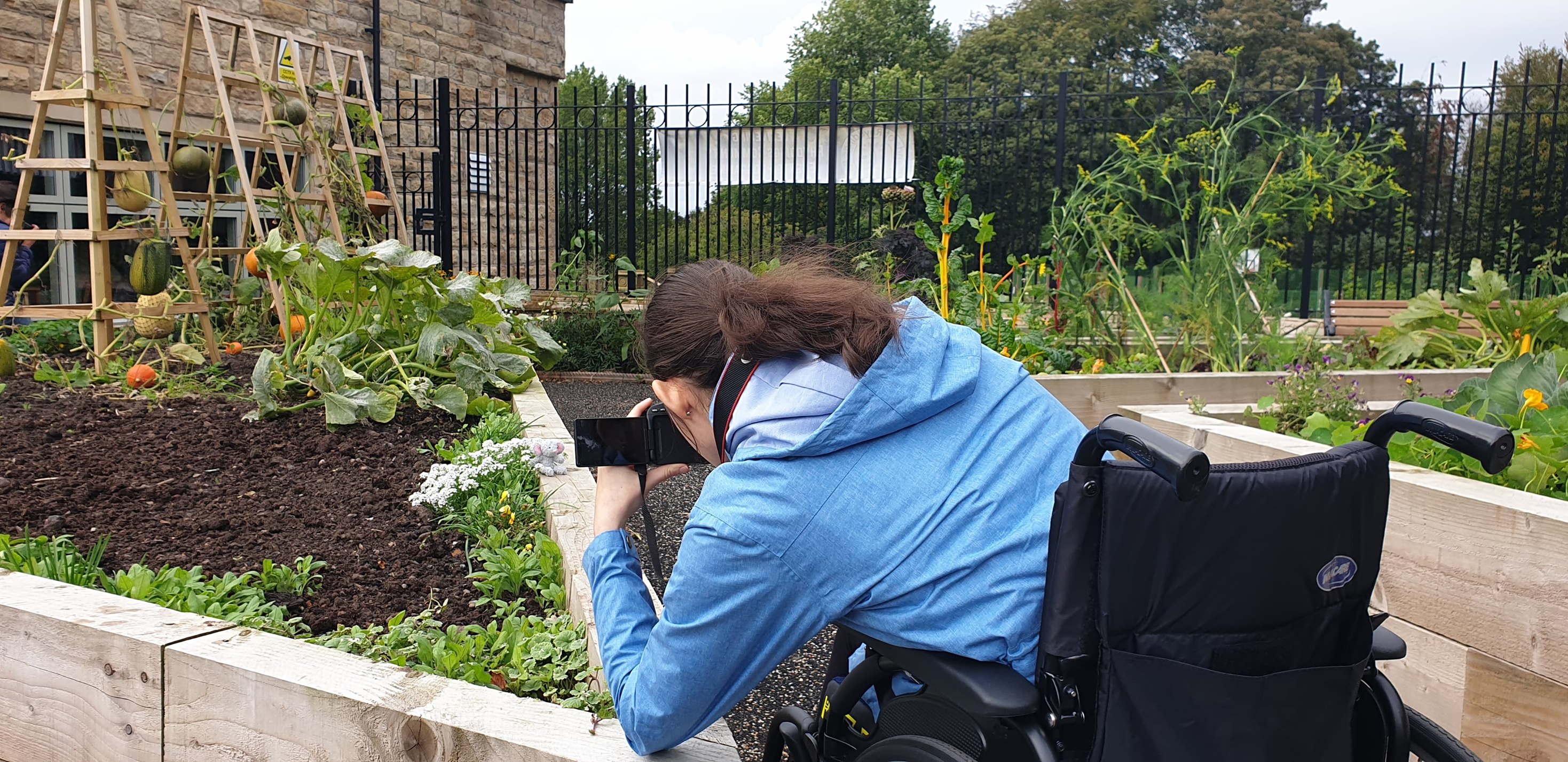 Wheelchair user takes photo in garden 