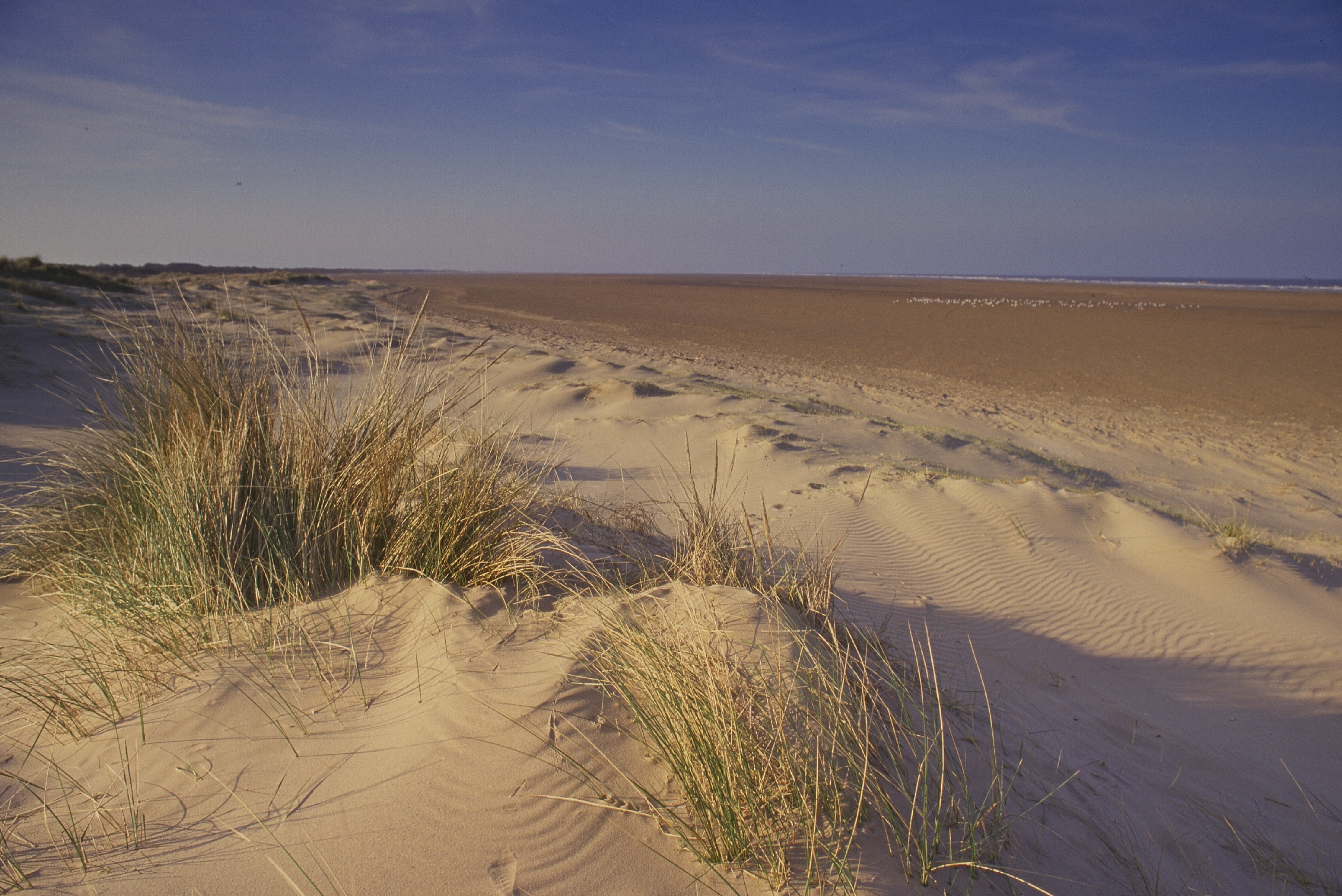 Saltfleetby Theddlesthope Dunes in Lincolnshire