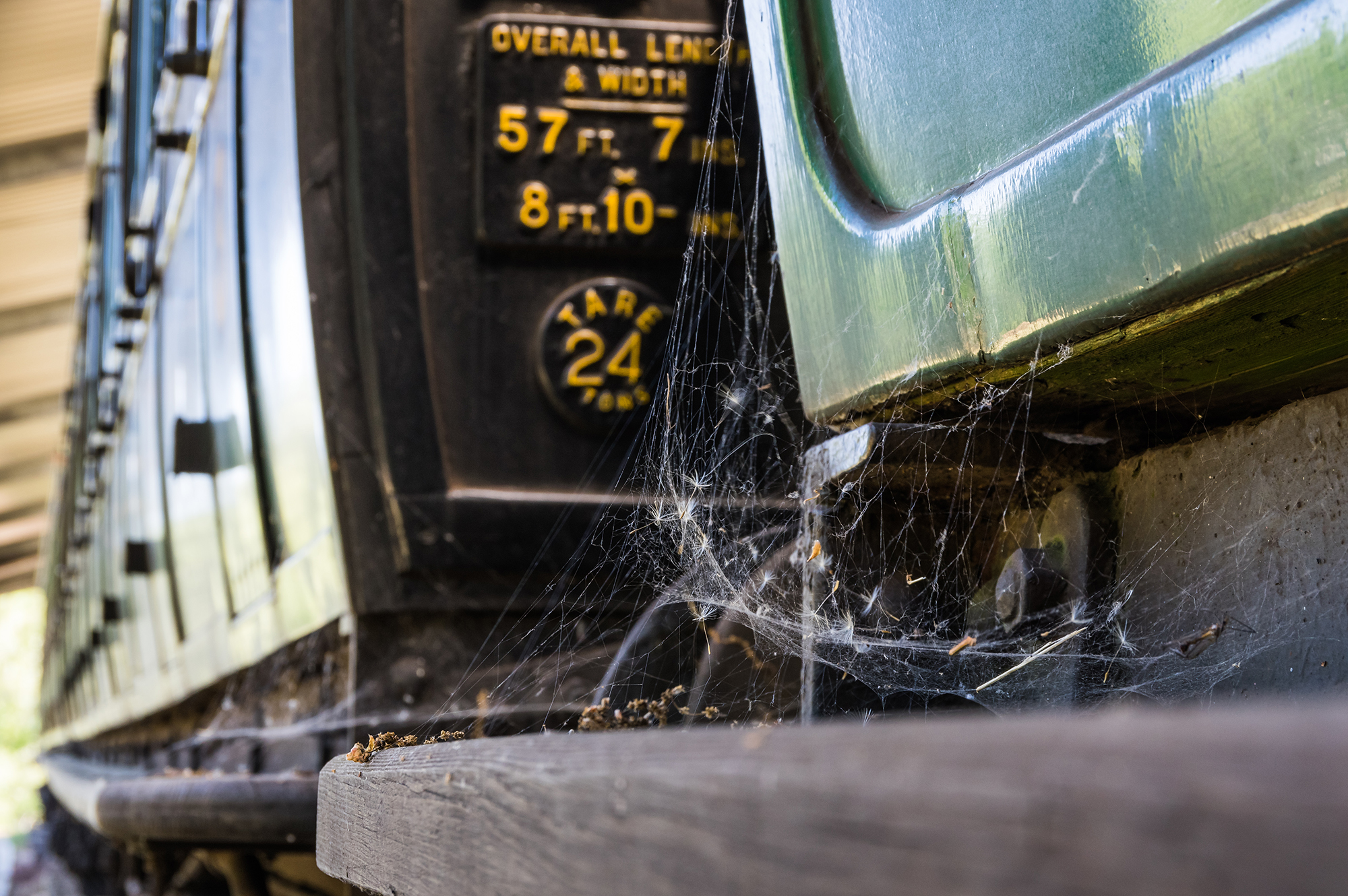 Spiderweb on train