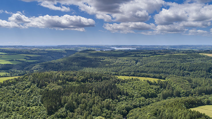 Aerial view of the Tamar Valley with trees and fields reaching far ahead