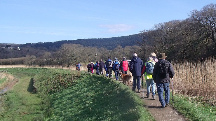 People walking away along a curving path with grass, rushes and trees