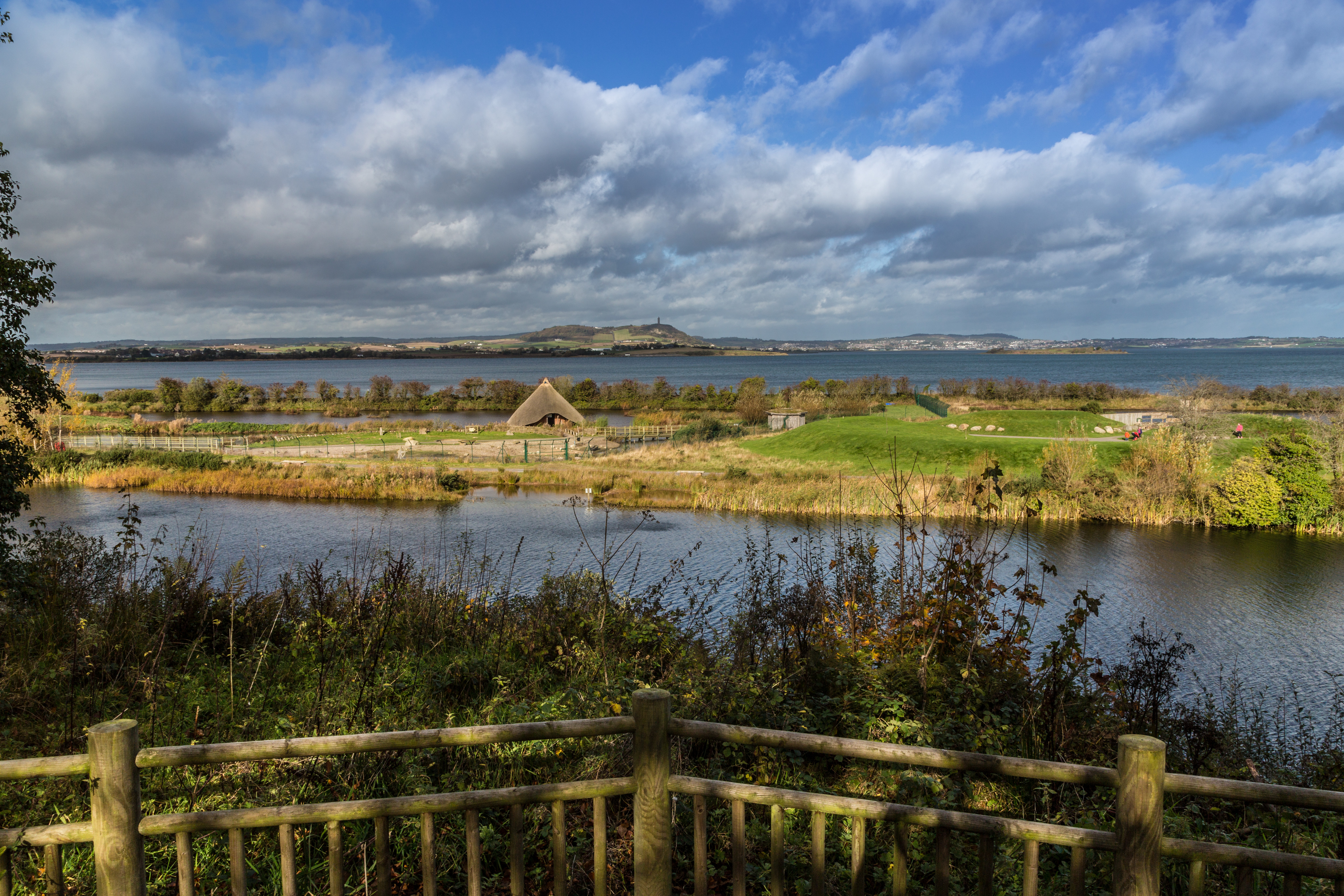 Marshland view at Castle Espie