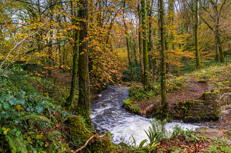 National Botanic Garden of Wales