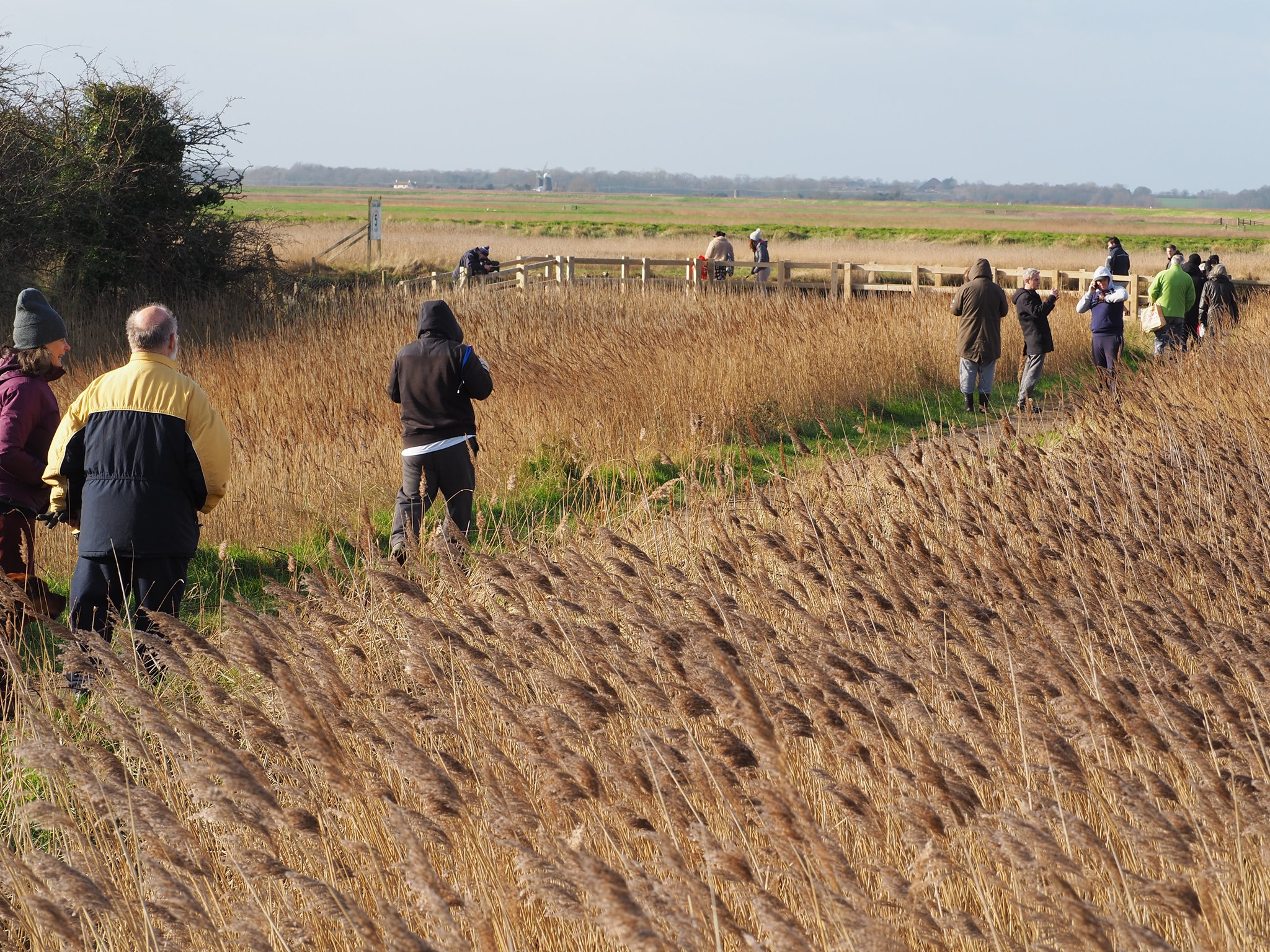 Walking group in nature