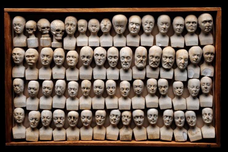 Wooden case of phrenological examples