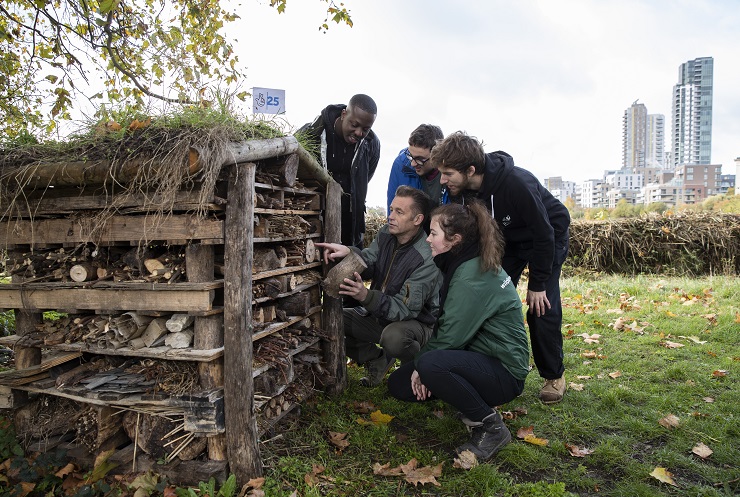 Chris Packham, Jamal Edwards and others look inside bug hotel