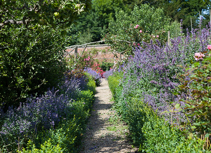 Abbotsford gardens