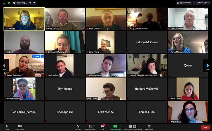 Screenshot of a meeting on Zoom with many participants
