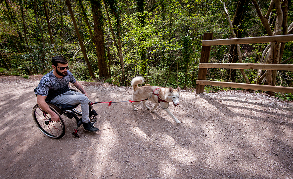 Man in wheelchair in Wepre Park