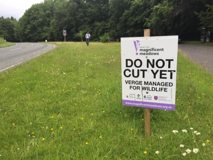 Sign in a meadow