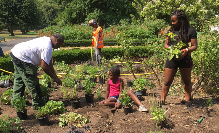 Volunteers gardening at Mysatt's Field Park
