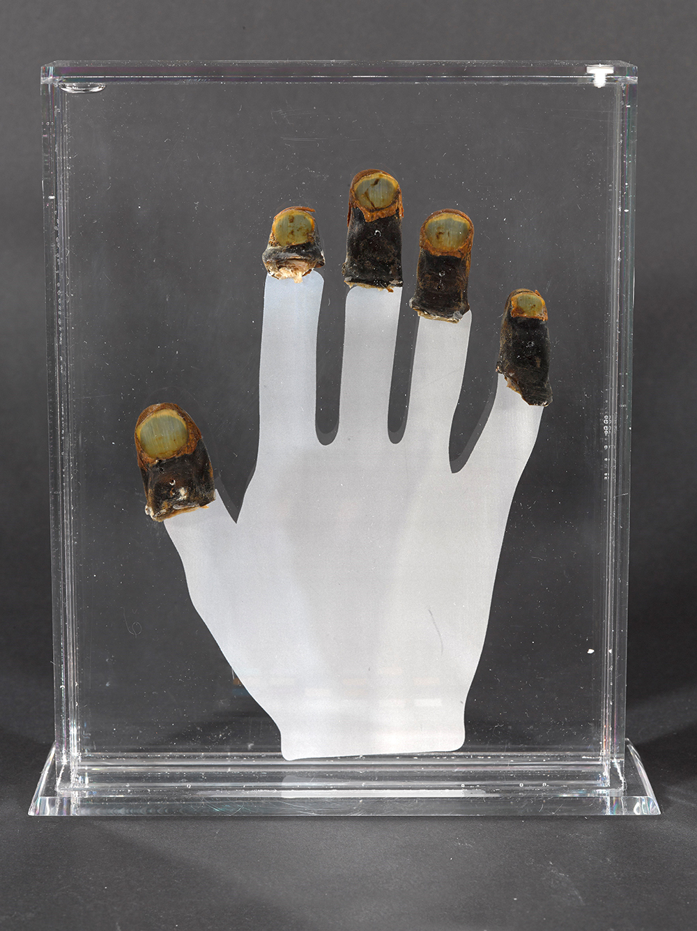 The hand of Sir John Heydon