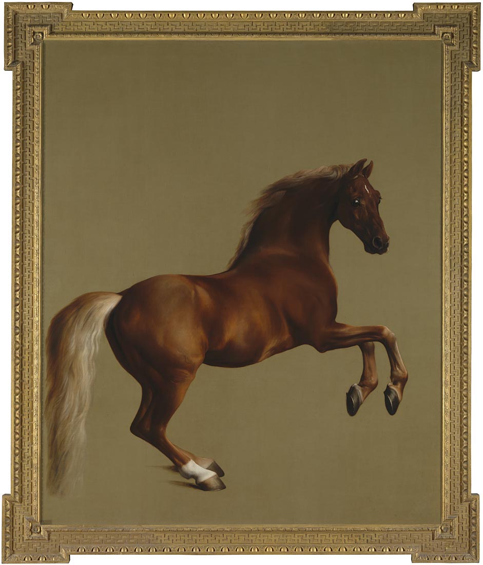 Whistlejacket portrait at the National Gallery