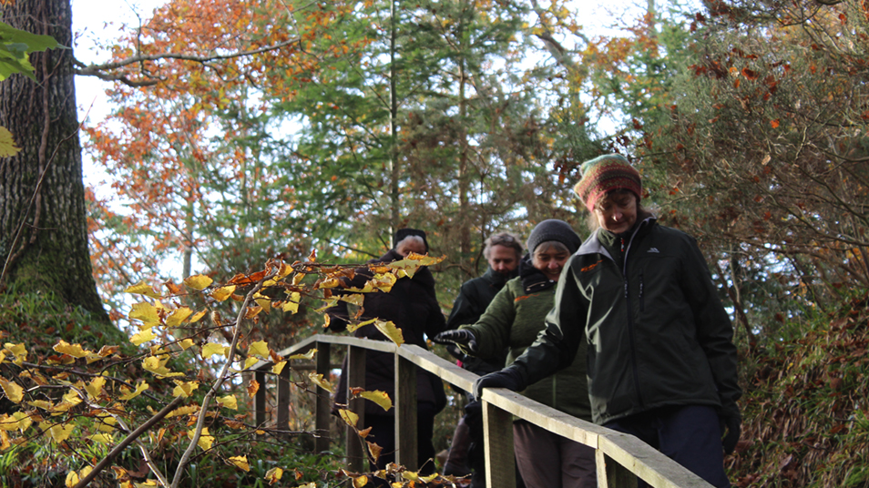 Care home residents walking in a forest