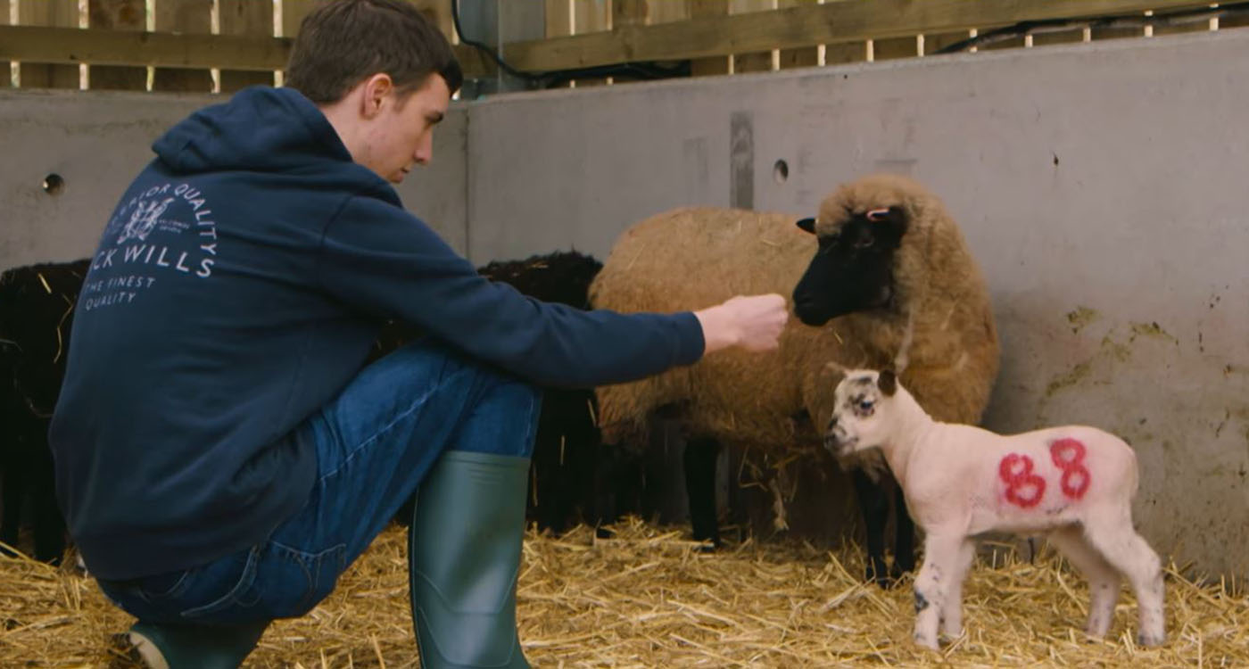 Boy with lamb