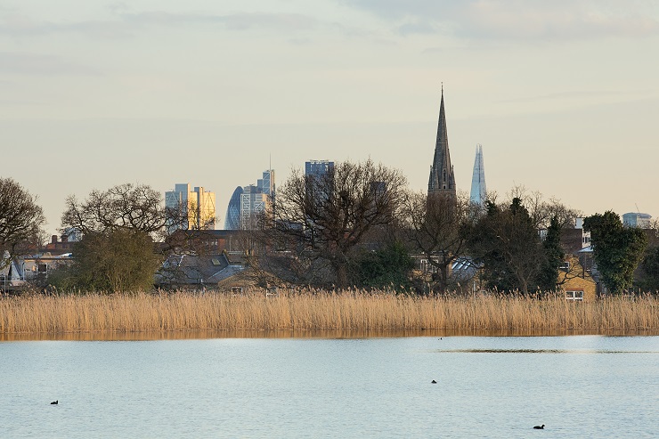 Woodberry Wetlands