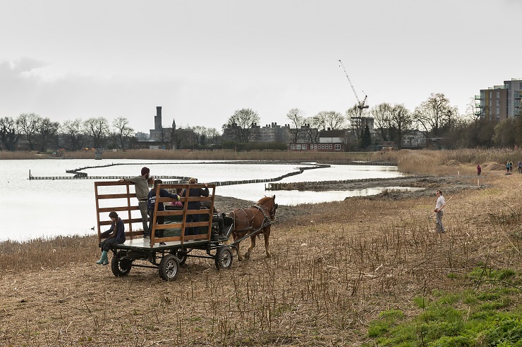 Horse and cart on Woodberry Wetlands 