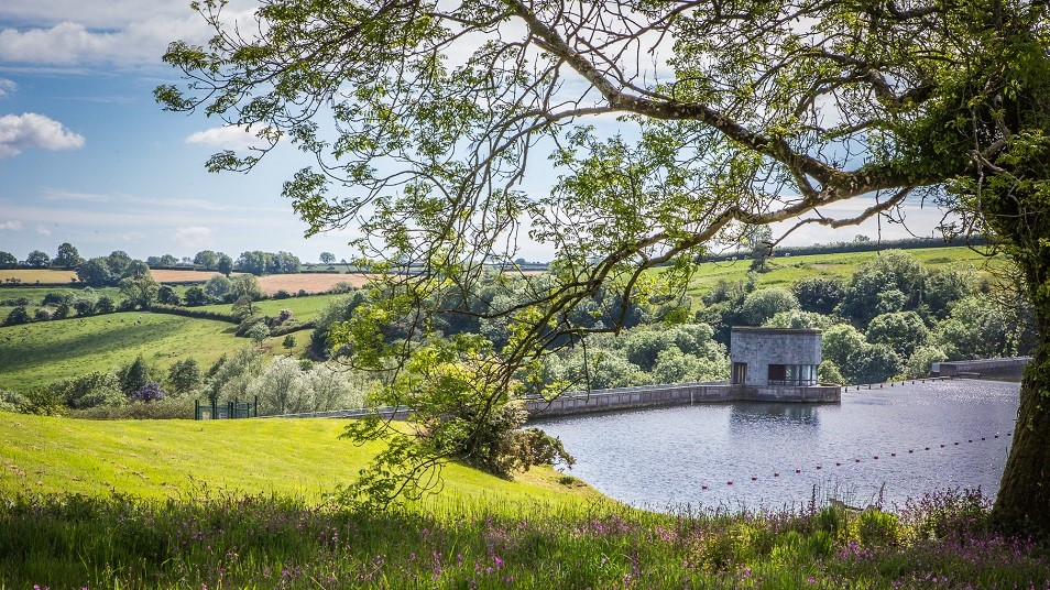 A view of a lake and a dam from under a tree