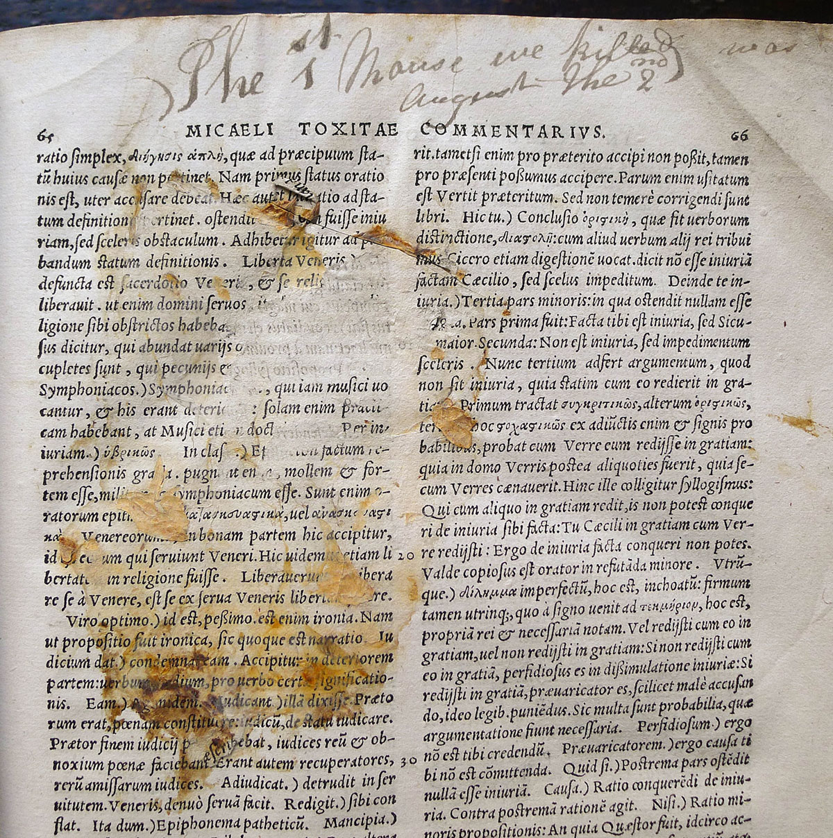 Evidence of another squashed mouse within a Salisbury Cathedral book Evidence of another squashed mouse within a Salisbury Cathedral book