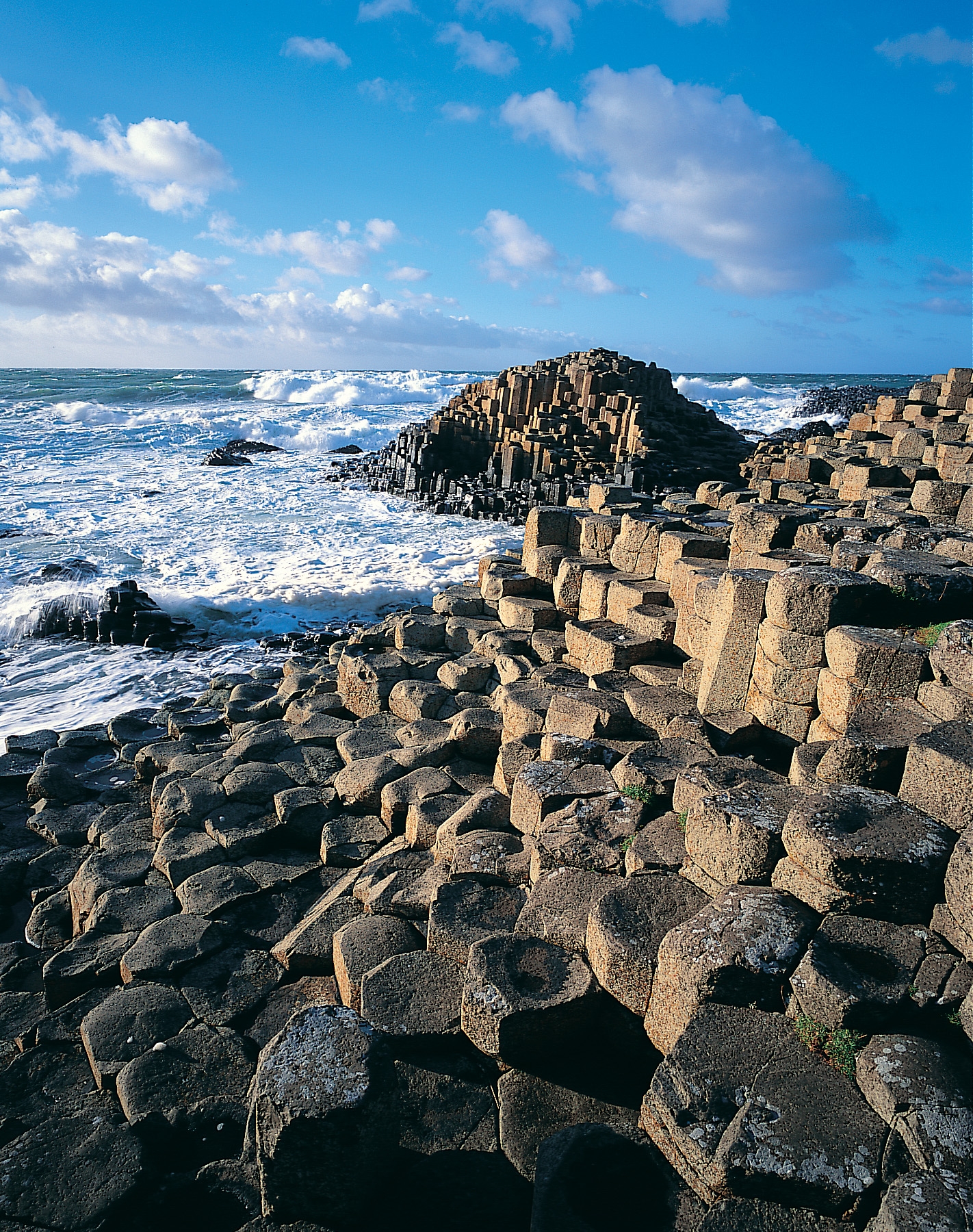 Celebrating great days out for Disabled Access Day Giant's Causeway coastline