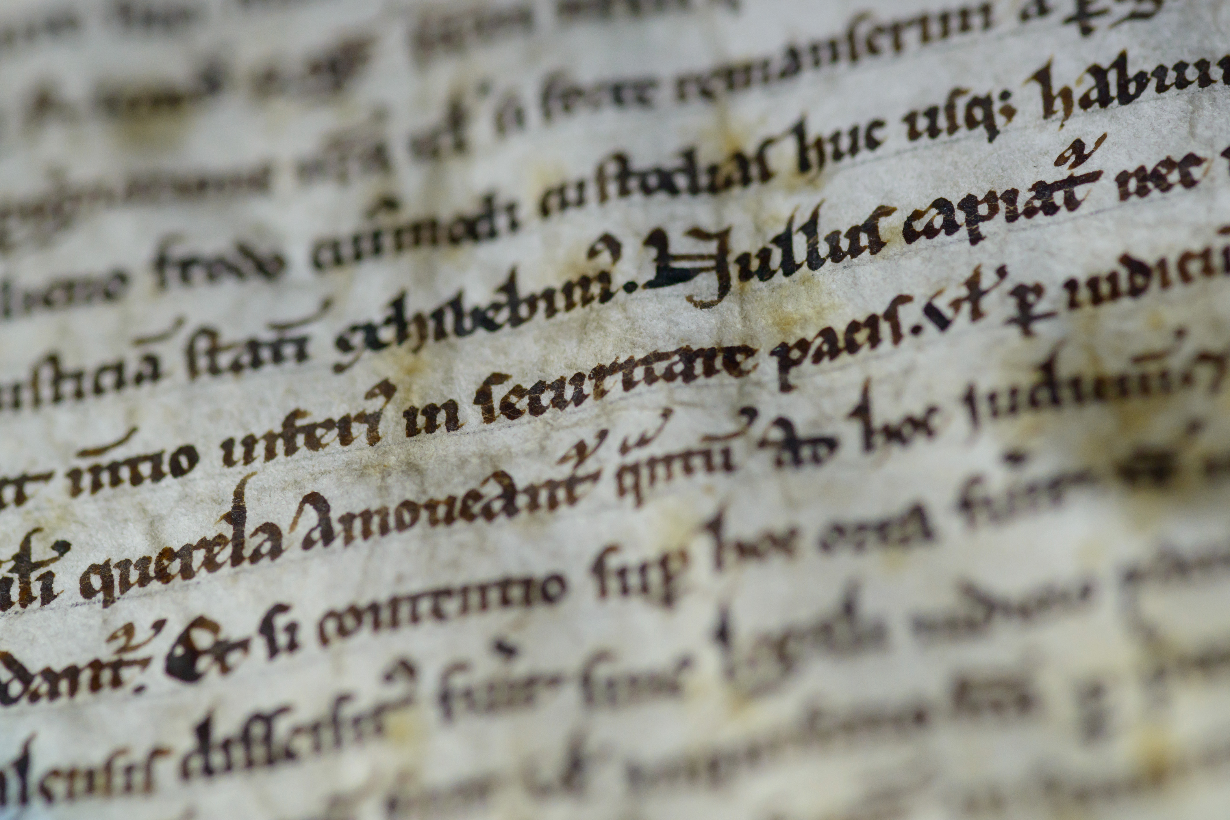 How Magna Carta still inspires us, 800 years on Magna Carta on display at Salisbury Cathedral